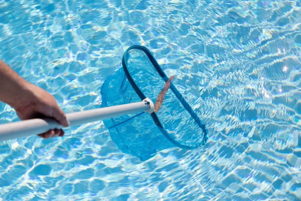 One-Time Cleaning and Pre-Scheduled Cleaning